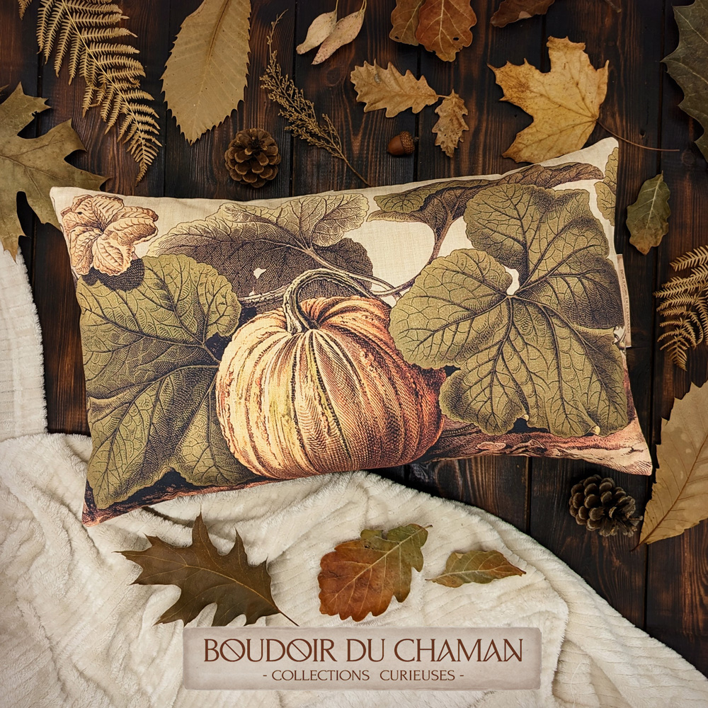 la housse de coussin Jardin d'Automne . champs de citrouilles 50X30cm
