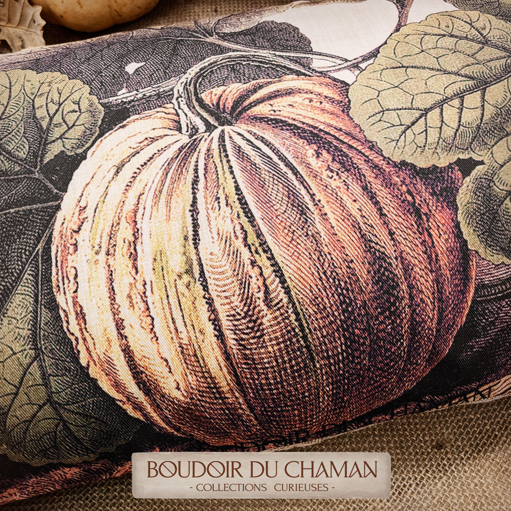 coussin jardin d'automne2