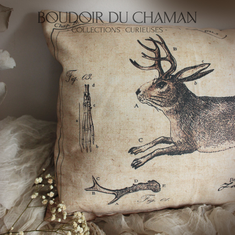 coussin jackalope2