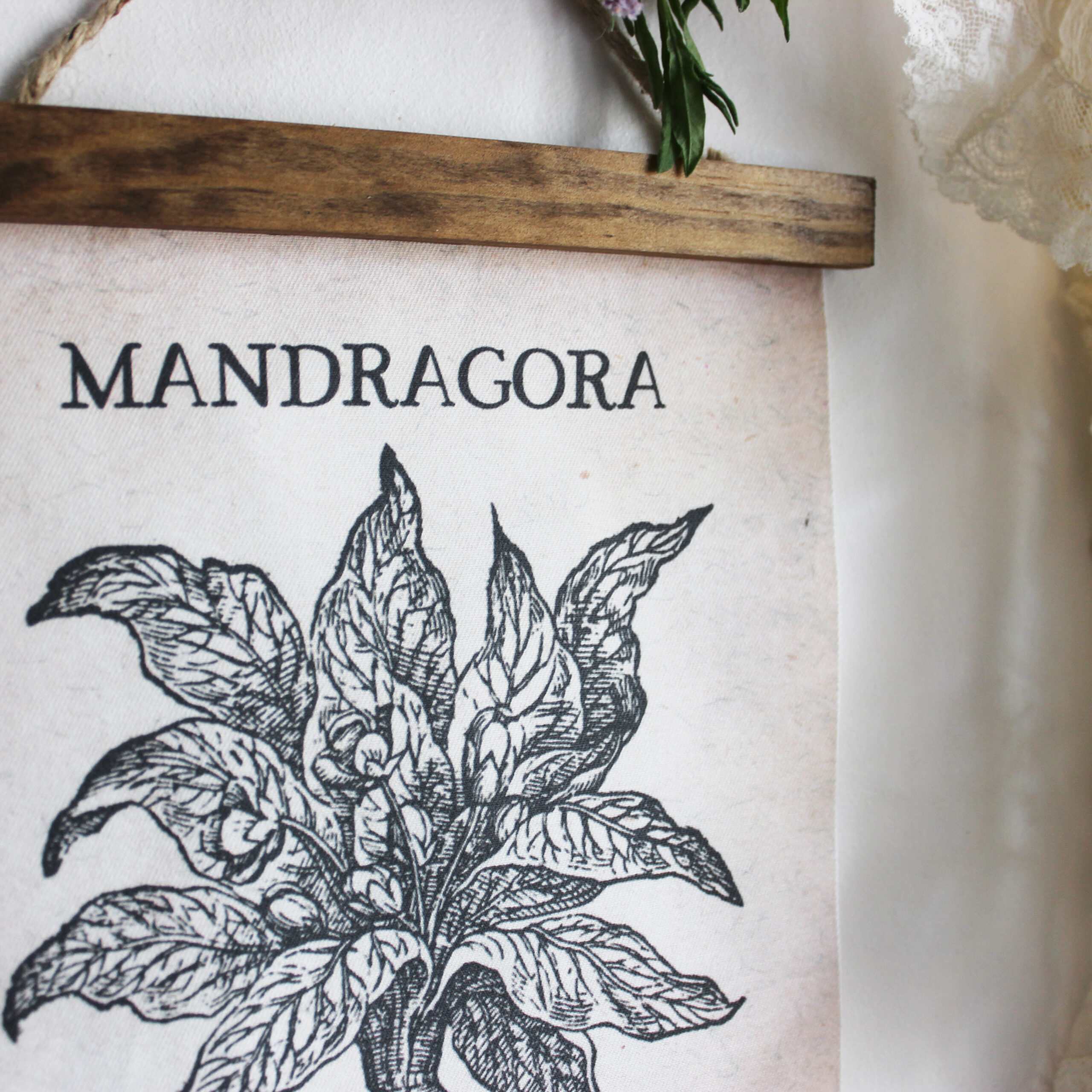 tenture mandragora2