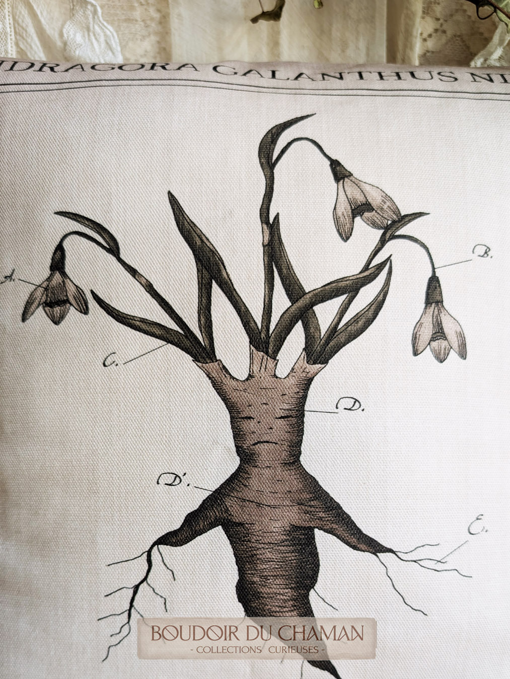 la housse de coussin Mandragore d'Imbolc . illustration originale du boudoir 40x40cm – Image 5