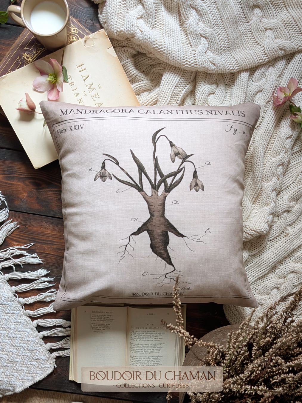 la housse de coussin Mandragore d'Imbolc . illustration originale du boudoir 40x40cm – Image 3