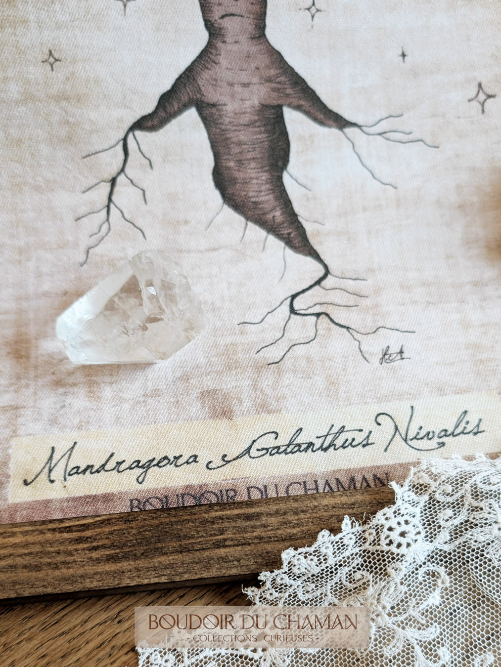 la tenture Mandragore Perce-Neige lin . illustration originale du Boudoir – Image 7