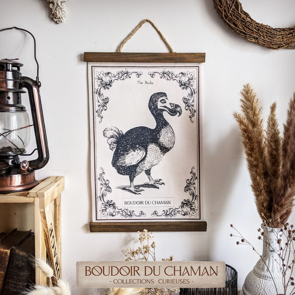la tenture Dodo.  illustration ancienne
