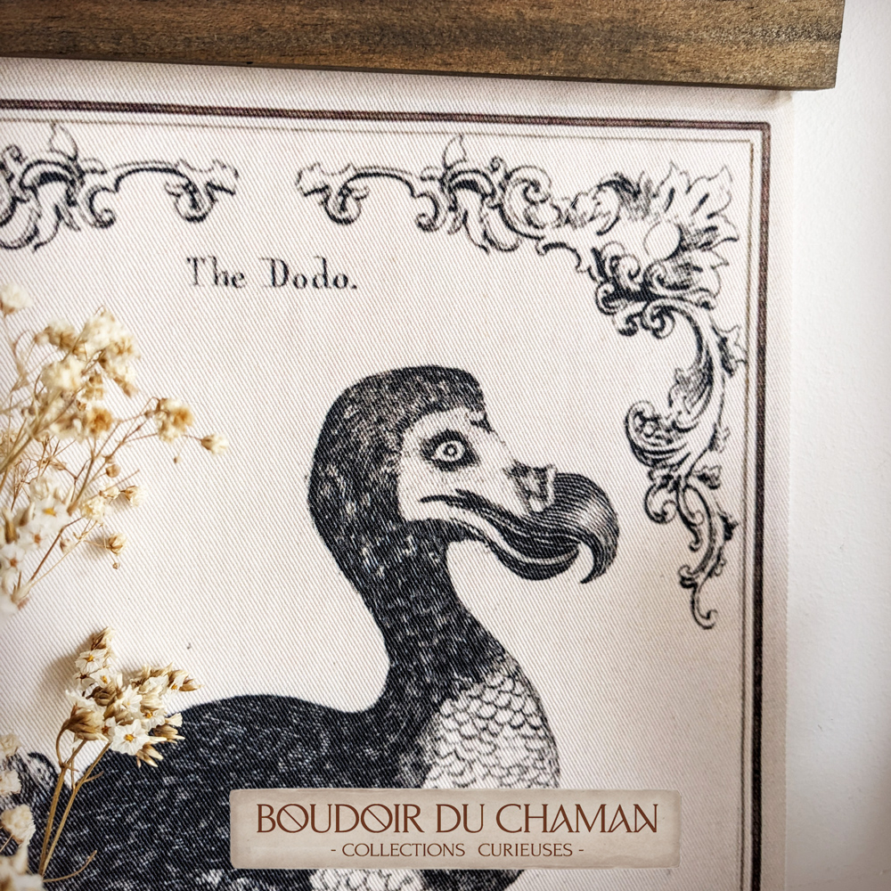 tenture dodo2