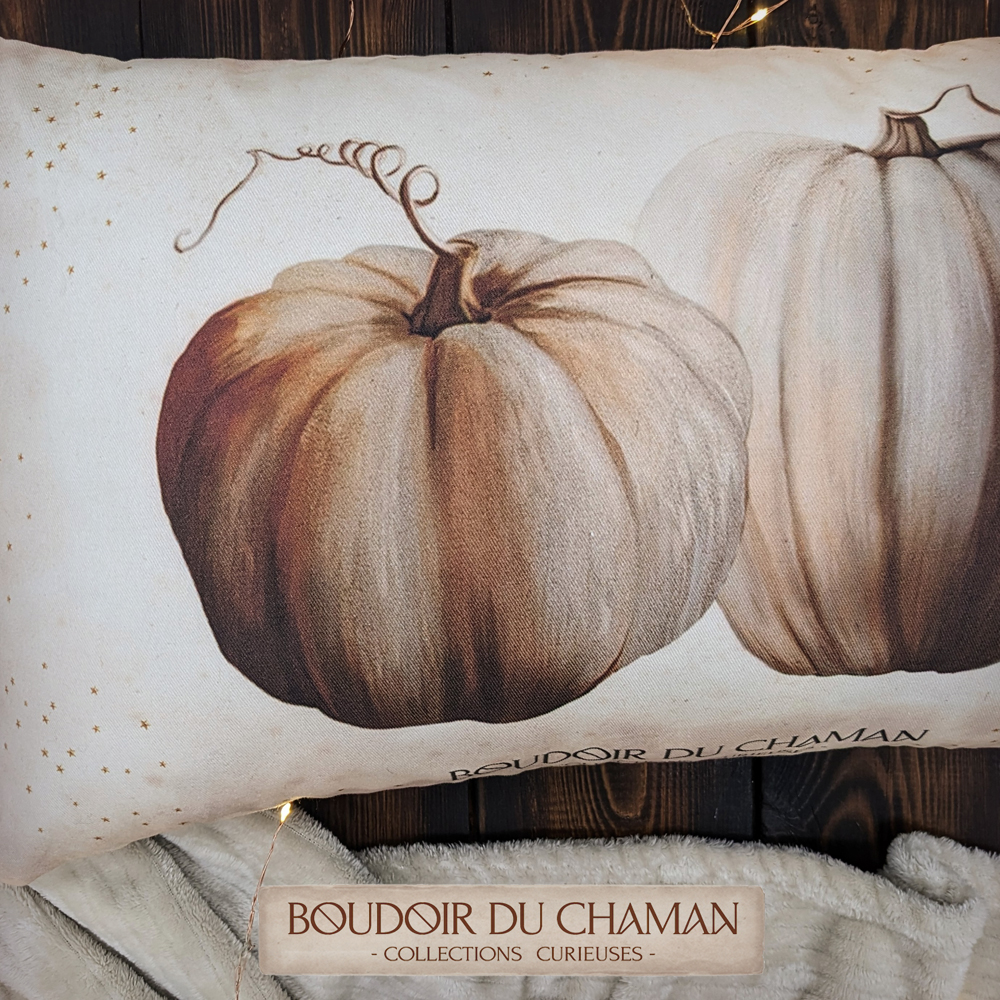 coussin bobidibou2