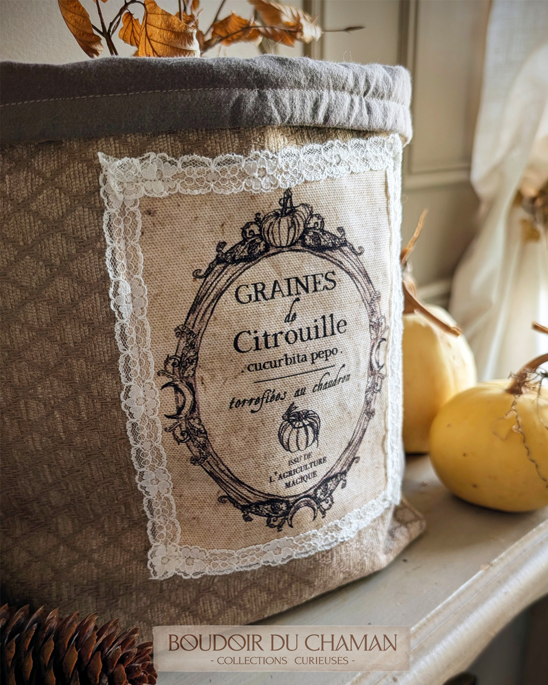 le panier souple Graines de citrouilles . velours vintage vieux rose illustration originale du Boudoir