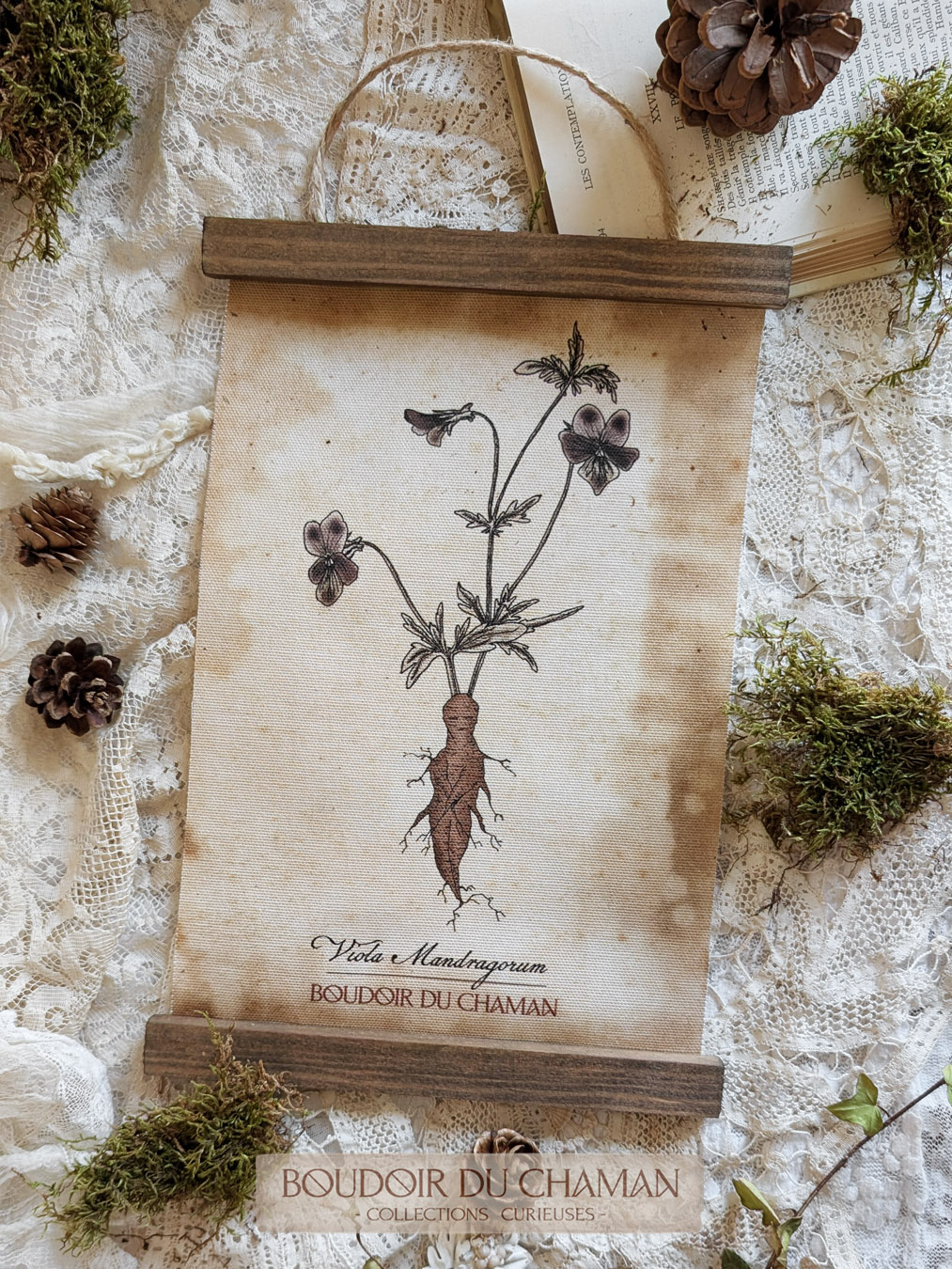 la tenture mandragore Hybride de Pensée . illustration originale