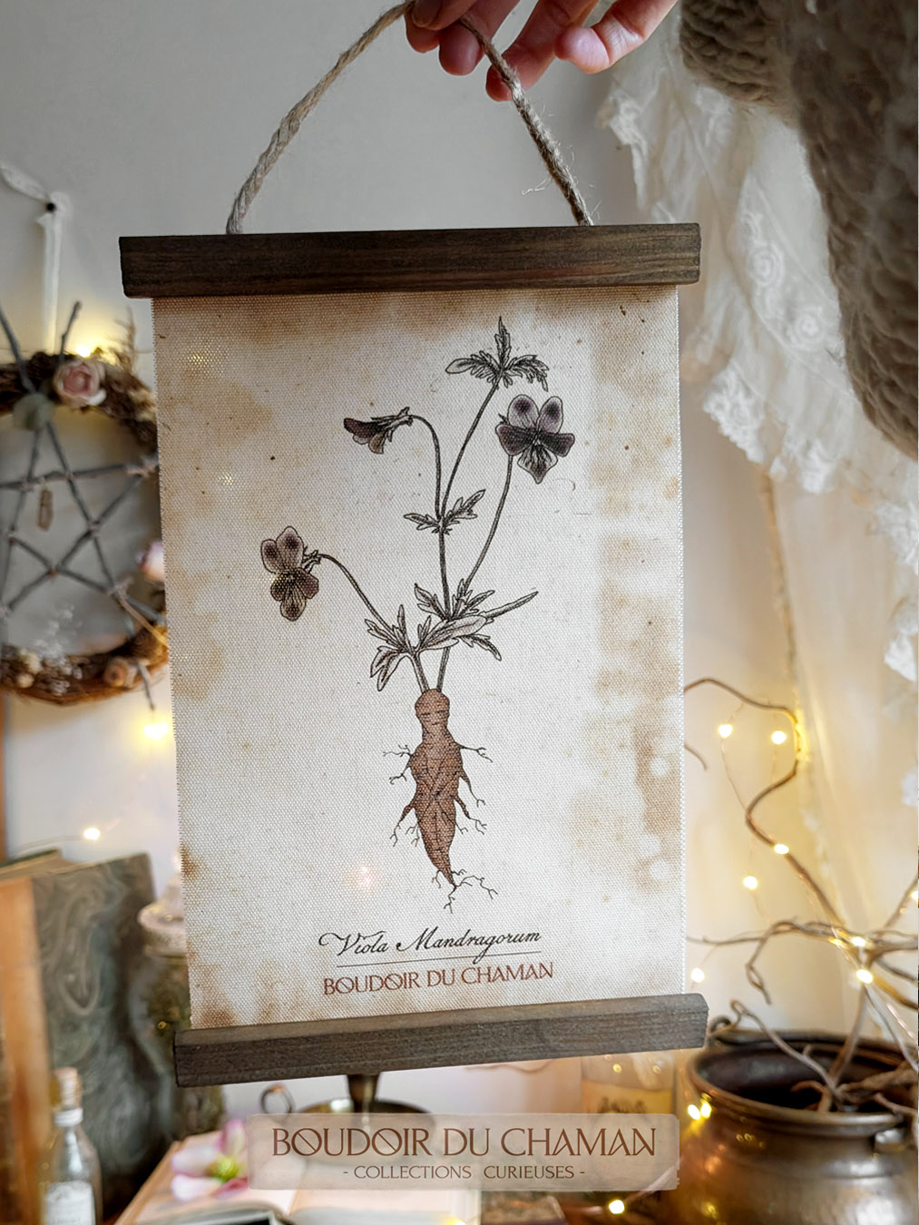 la tenture mandragore Hybride de Pensée . illustration originale – Image 4