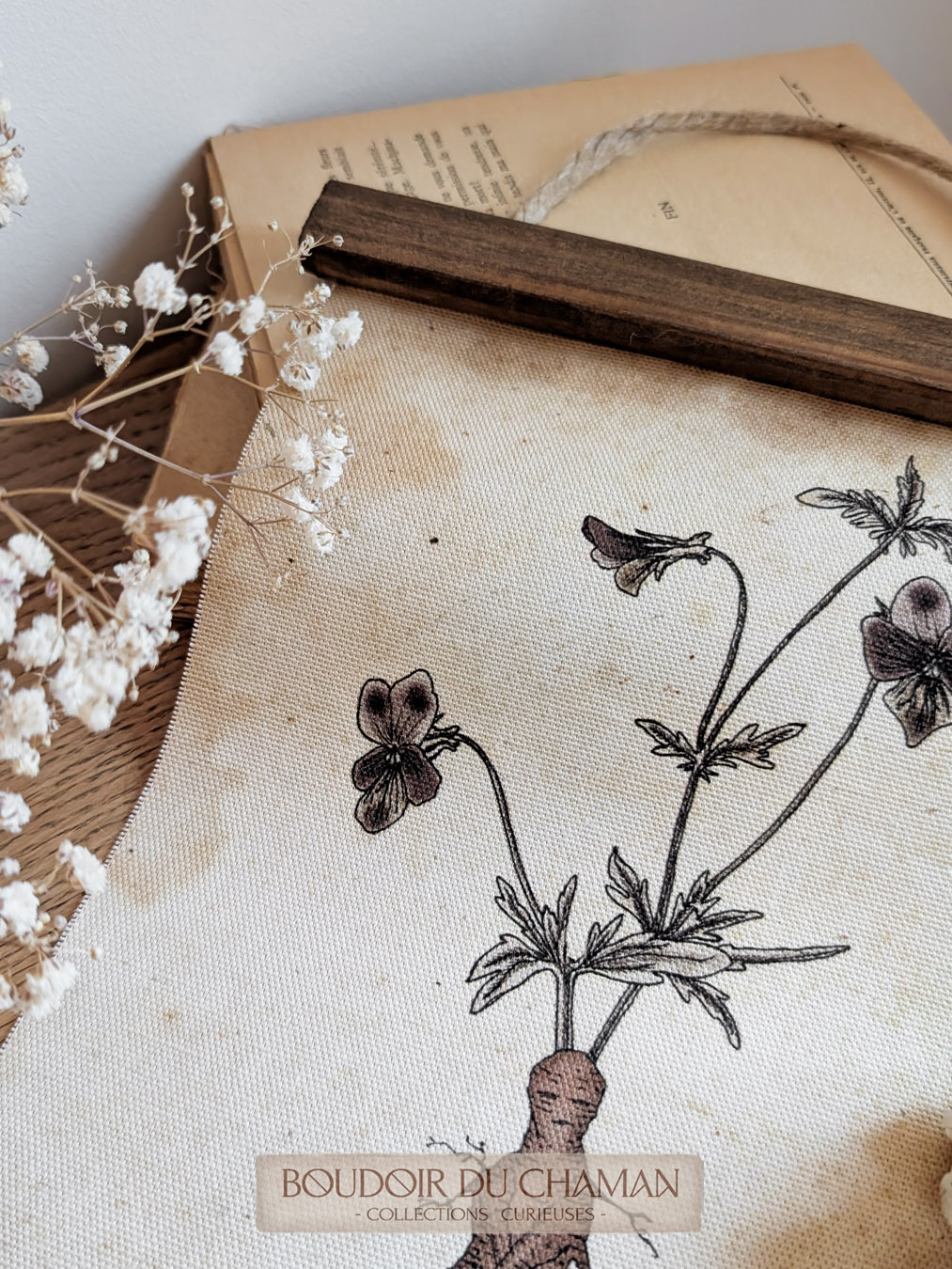 la tenture mandragore Hybride de Pensée . illustration originale – Image 3