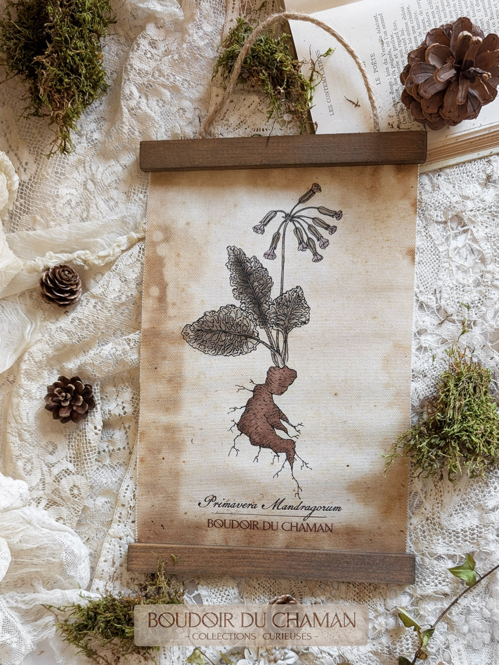 la tenture mandragore Hybride de Primevère . illustration originale du Boudoir – Image 7