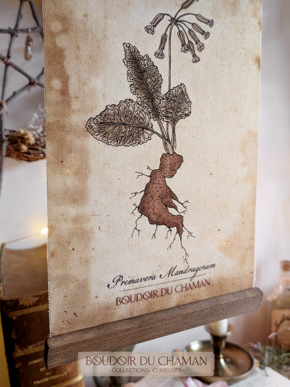 la tenture mandragore Hybride de Primevère . illustration originale du Boudoir – Image 4