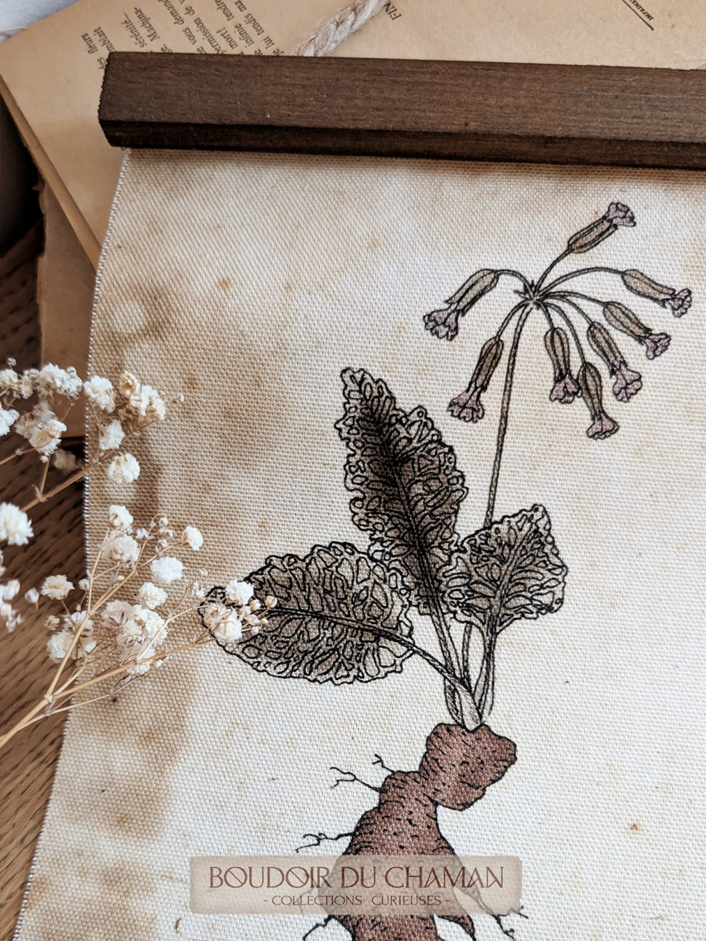 tenture mandragore primevère3