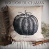 La housse de coussin Cucurbita Pepo . illustration vintage  40X40cm