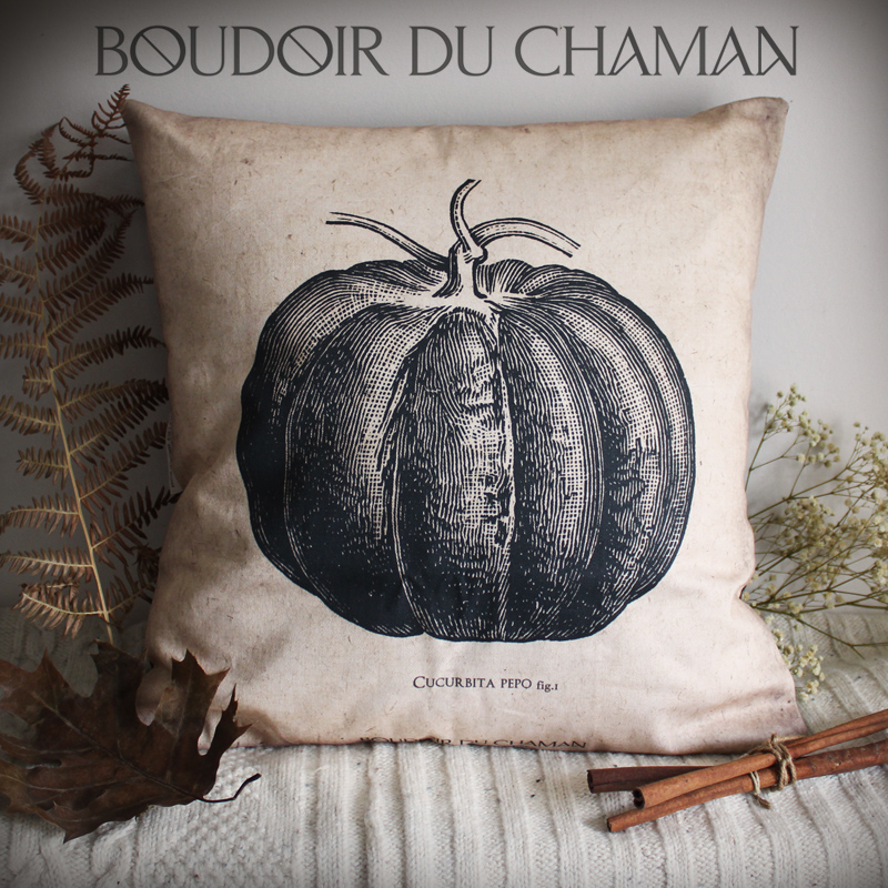 La housse de coussin Cucurbita Pepo . illustration vintage  40X40cm