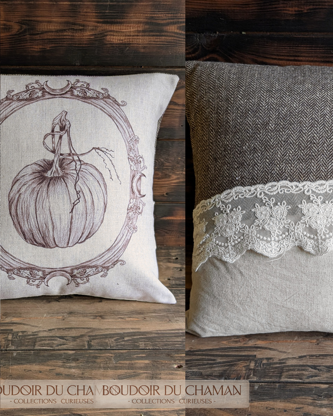 La housse de coussin Citrouille Enchantée Chevron . illustration originale 40X40cm