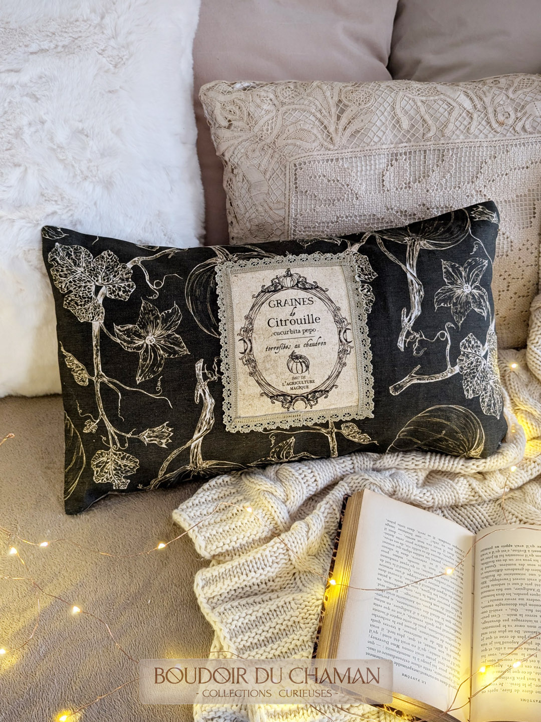 graine de citrouille mousse1