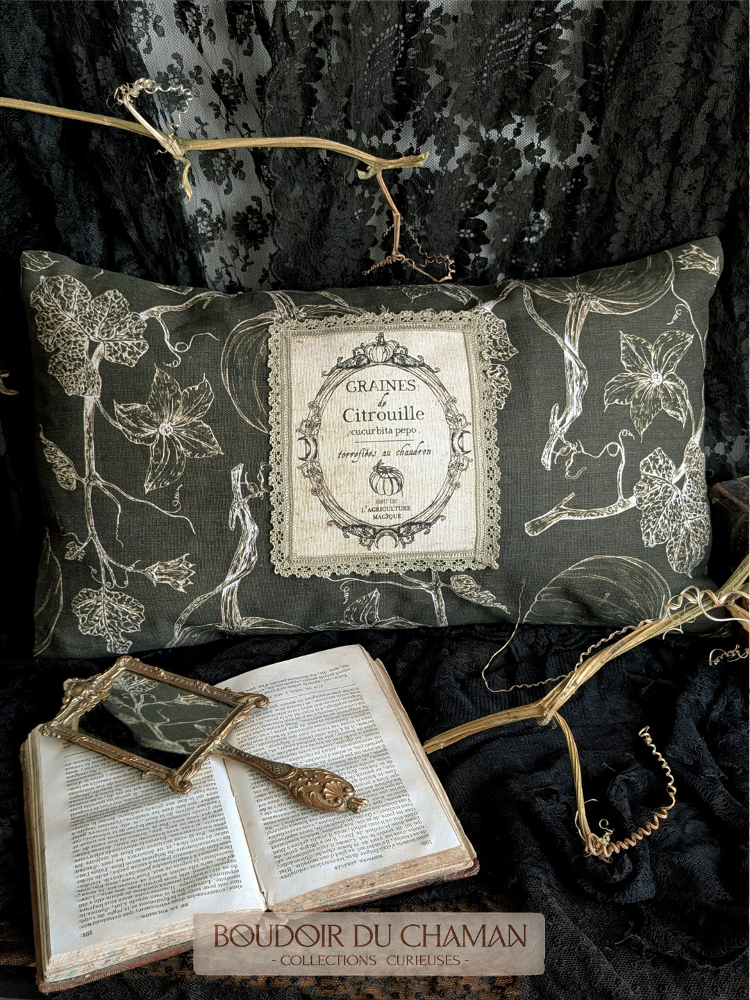 la housse de coussin Graines de Citrouilles Mousse dos Tartan . illustration originale du Boudoir 50X30cm