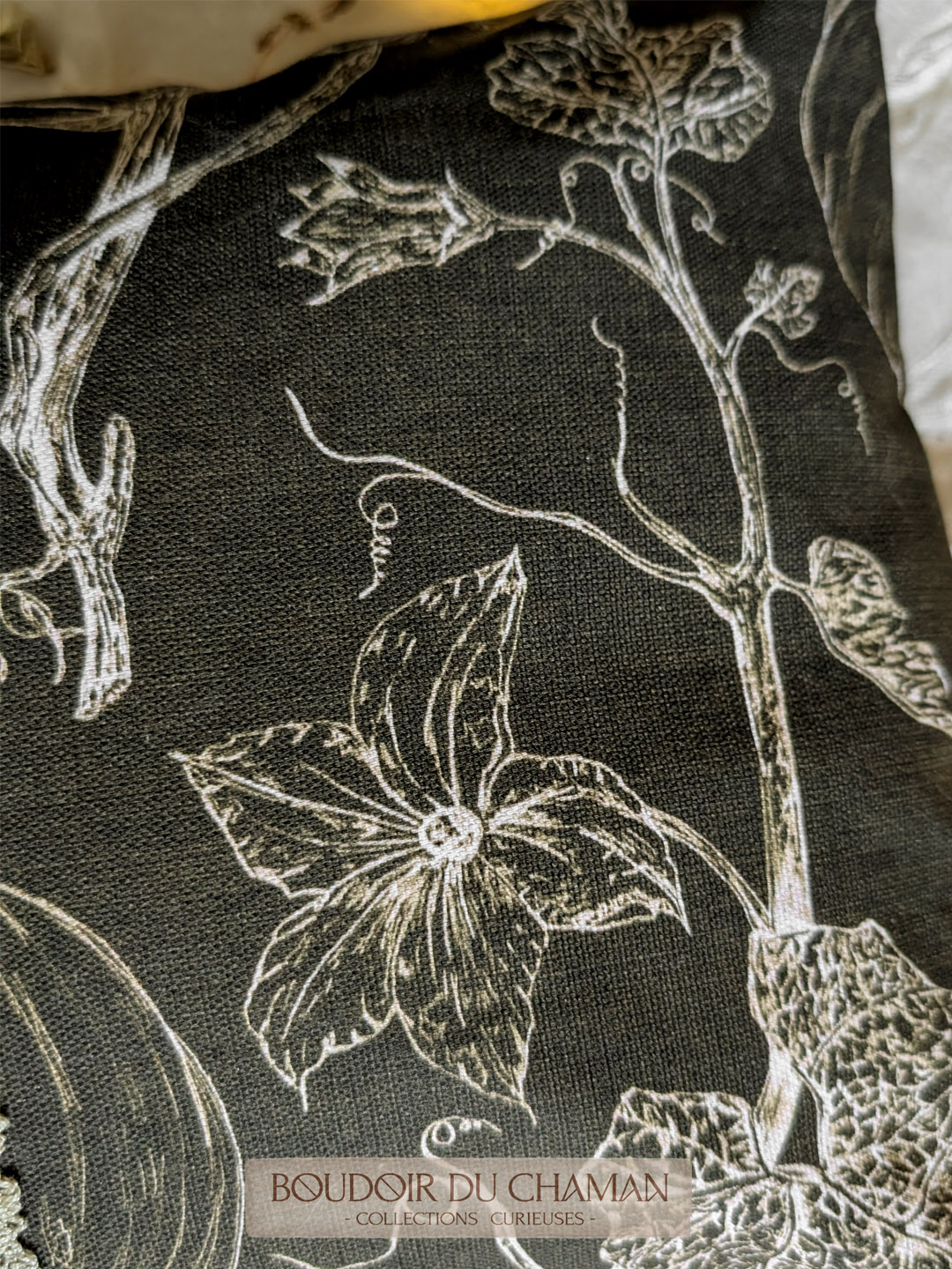 la housse de coussin Graines de Citrouilles Mousse dos Tartan . illustration originale du Boudoir 50X30cm – Image 6